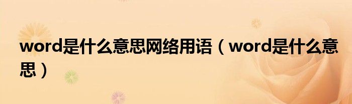 word是什么意思网络用语(word是什么意思)