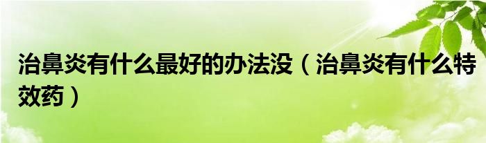 治鼻炎有什么最好的办法没(治鼻炎有什么特效药)