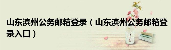 山东滨州公务邮箱登录(山东滨州公务邮箱登录入口)