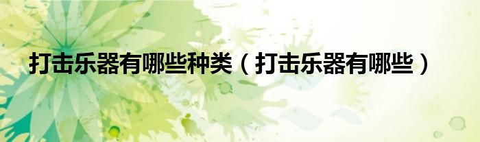 打击乐器有哪些种类(打击乐器有哪些)