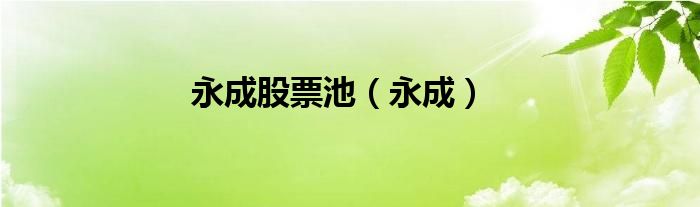 永成股票池（永成）