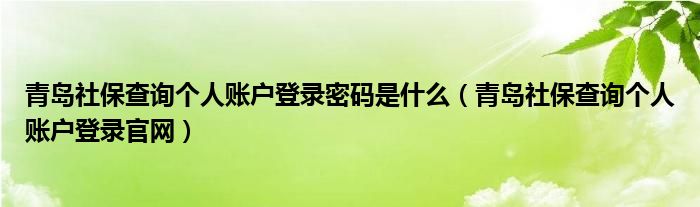 青岛社保查询个人账户登录密码是什么(青岛社保查询个人账户登录官网)