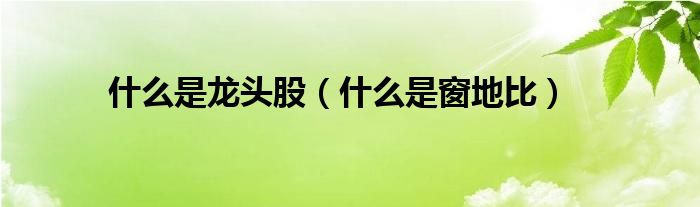 什么是龙头股(什么是窗地比)
