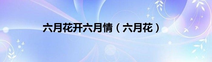 六月花开六月情（六月花）