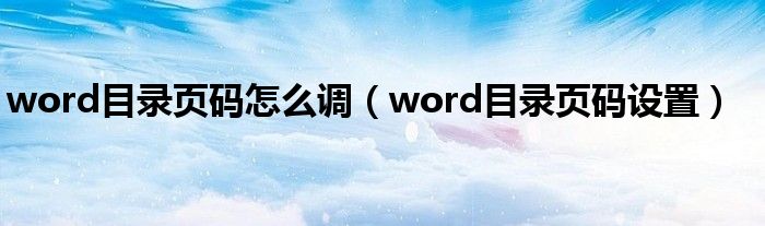 word目录页码怎么调(word目录页码设置)