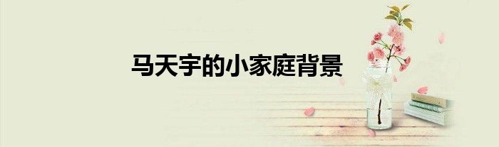 马天宇的小家庭背景