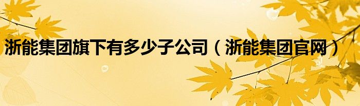 浙能集团旗下有多少子公司(浙能集团官网)