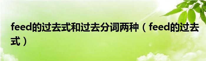 feed的过去式和过去分词两种(feed的过去式)