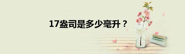 17盎司是多少毫升？