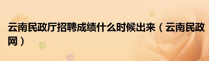 云南民政厅招聘成绩什么时候出来(云南民政网)