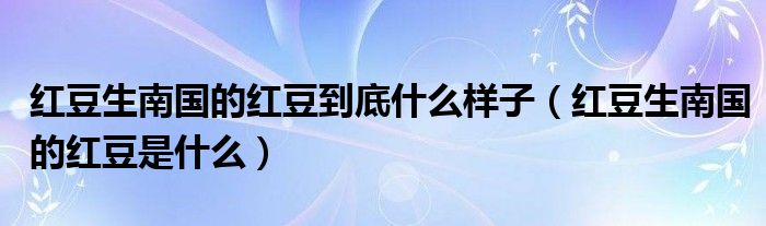 红豆生南国的红豆到底什么样子(红豆生南国的红豆是什么)