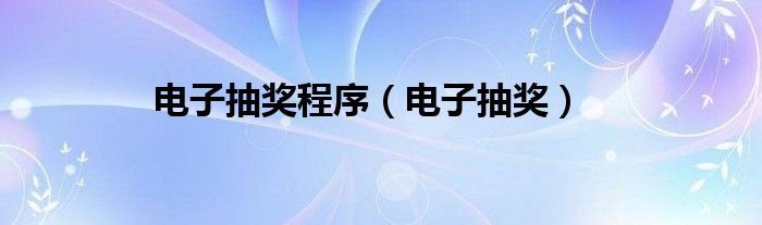 电子抽奖程序(电子抽奖)
