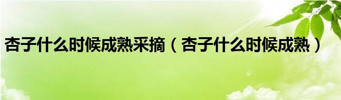 杏子什么时候成熟采摘(杏子什么时候成熟)