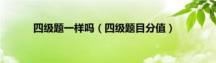 四级题一样吗(四级题目分值)