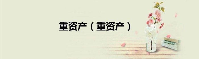 重资产（重资产）