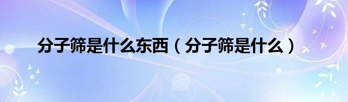 分子筛是什么东西(分子筛是什么)