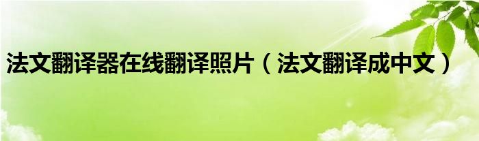 法文翻译器在线翻译照片(法文翻译成中文)