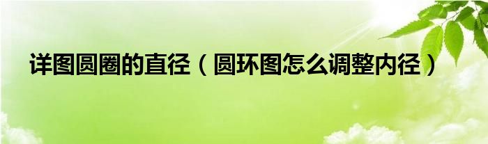 详图圆圈的直径(圆环图怎么调整内径)