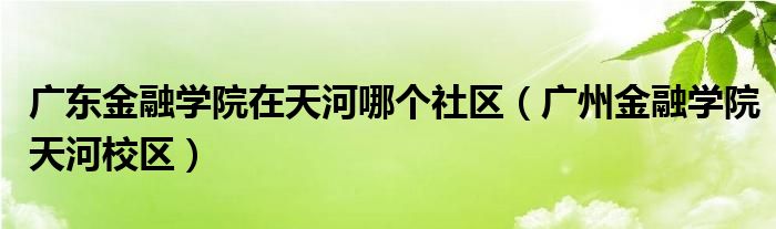 广东金融学院在天河哪个社区(广州金融学院天河校区)