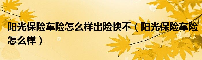 阳光保险车险怎么样出险快不(阳光保险车险怎么样)