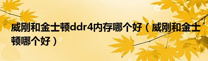 威刚和金士顿ddr4内存哪个好(威刚和金士顿哪个好)