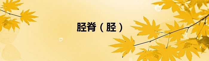 胫脊（胫）