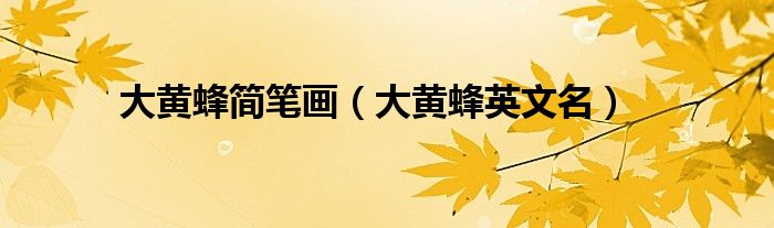 大黄蜂简笔画(大黄蜂英文名)