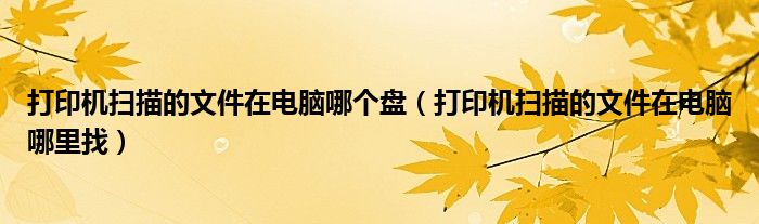 打印机扫描的文件在电脑哪个盘(打印机扫描的文件在电脑哪里找)