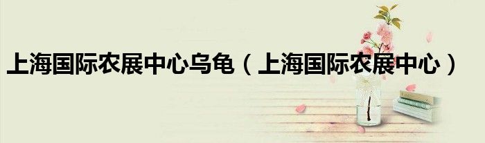 上海国际农展中心乌龟(上海国际农展中心)