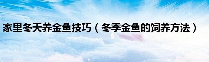家里冬天养金鱼技巧(冬季金鱼的饲养方法)