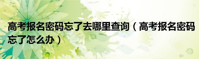 高考报名密码忘了去哪里查询(高考报名密码忘了怎么办)