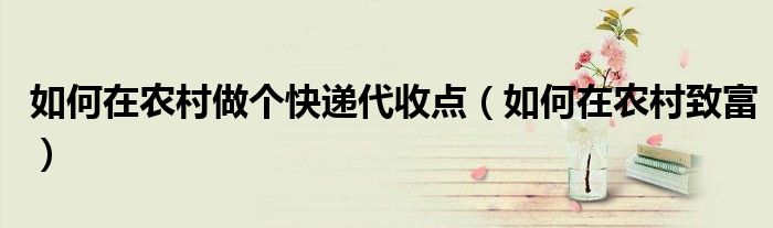 如何在农村做个快递代收点(如何在农村致富)