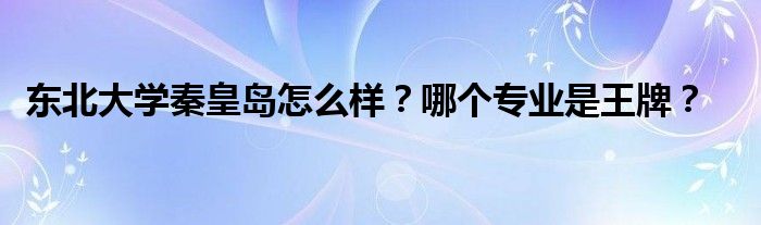 东北大学秦皇岛怎么样?哪个专业是王牌?
