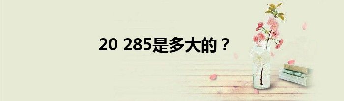 20 285是多大的?