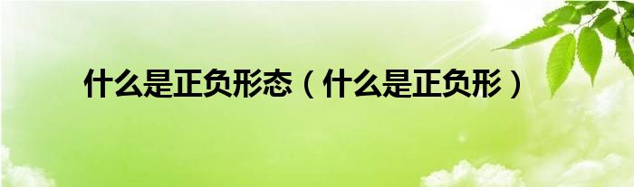 什么是正负形态(什么是正负形)
