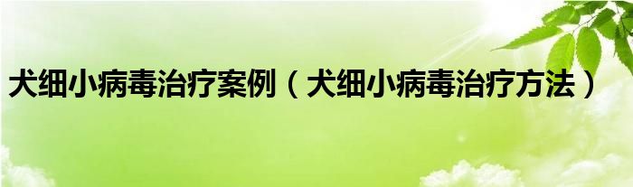 犬细小病毒治疗案例(犬细小病毒治疗方法)