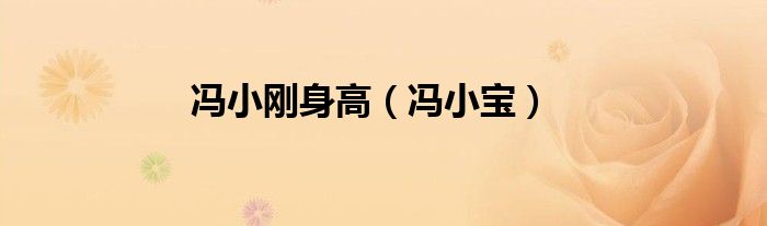 冯小刚身高（冯小宝）