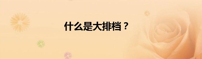 什么是大排档？