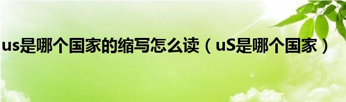 us是哪个国家的缩写怎么读(uS是哪个国家)