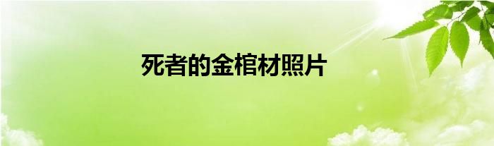 死者的金棺材照片