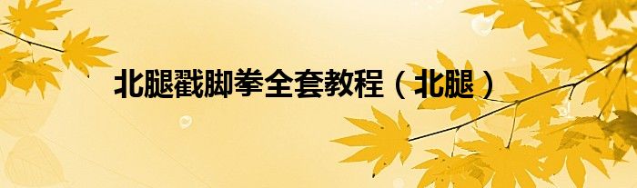 北腿戳脚拳全套教程(北腿)