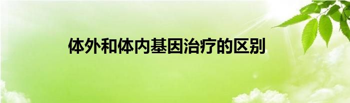 体外和体内基因治疗的区别