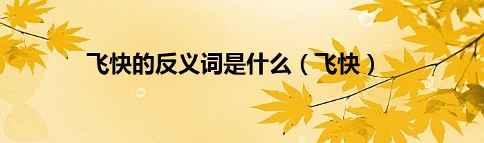 飞快的反义词是什么(飞快)