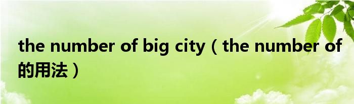 the number of big city(the number of的用法)