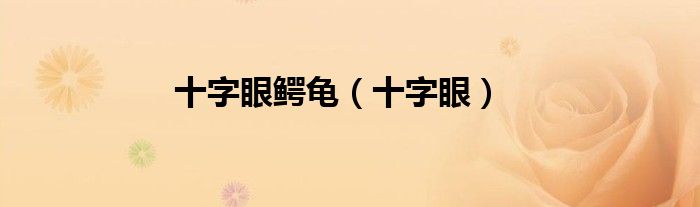 十字眼鳄龟（十字眼）