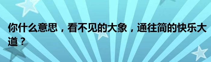 你什么意思,看不见的大象,通往简的快乐大道?