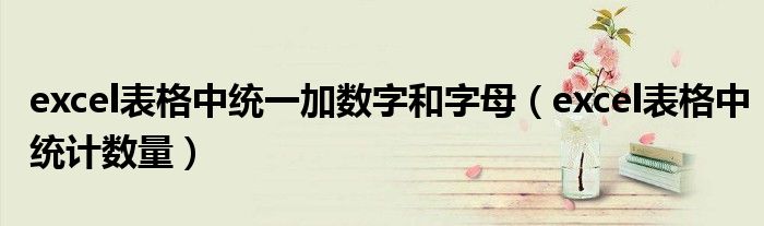 excel表格中统一加数字和字母(excel表格中统计数量)