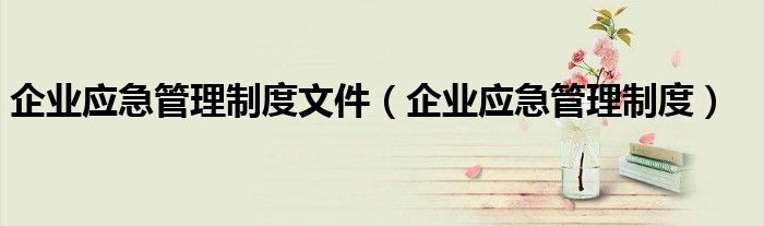企业应急管理制度文件(企业应急管理制度)