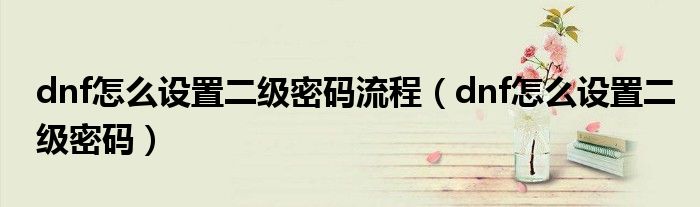 dnf怎么设置二级密码流程(dnf怎么设置二级密码)