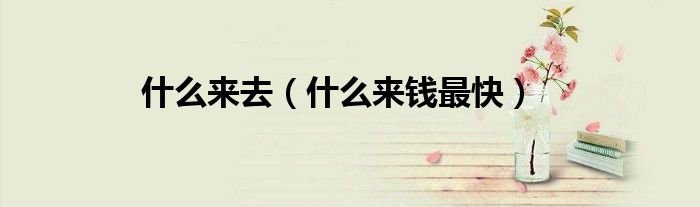 什么来去（什么来钱最快）